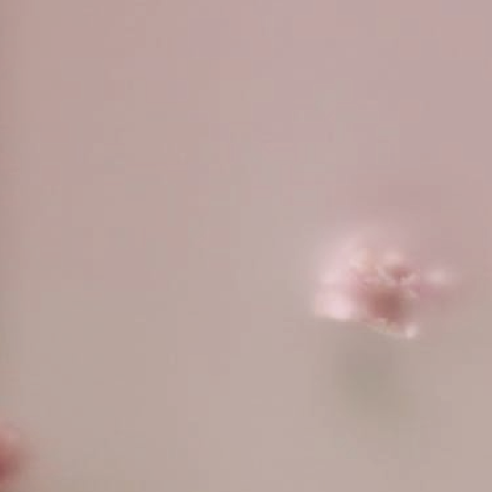 未命名-1-13