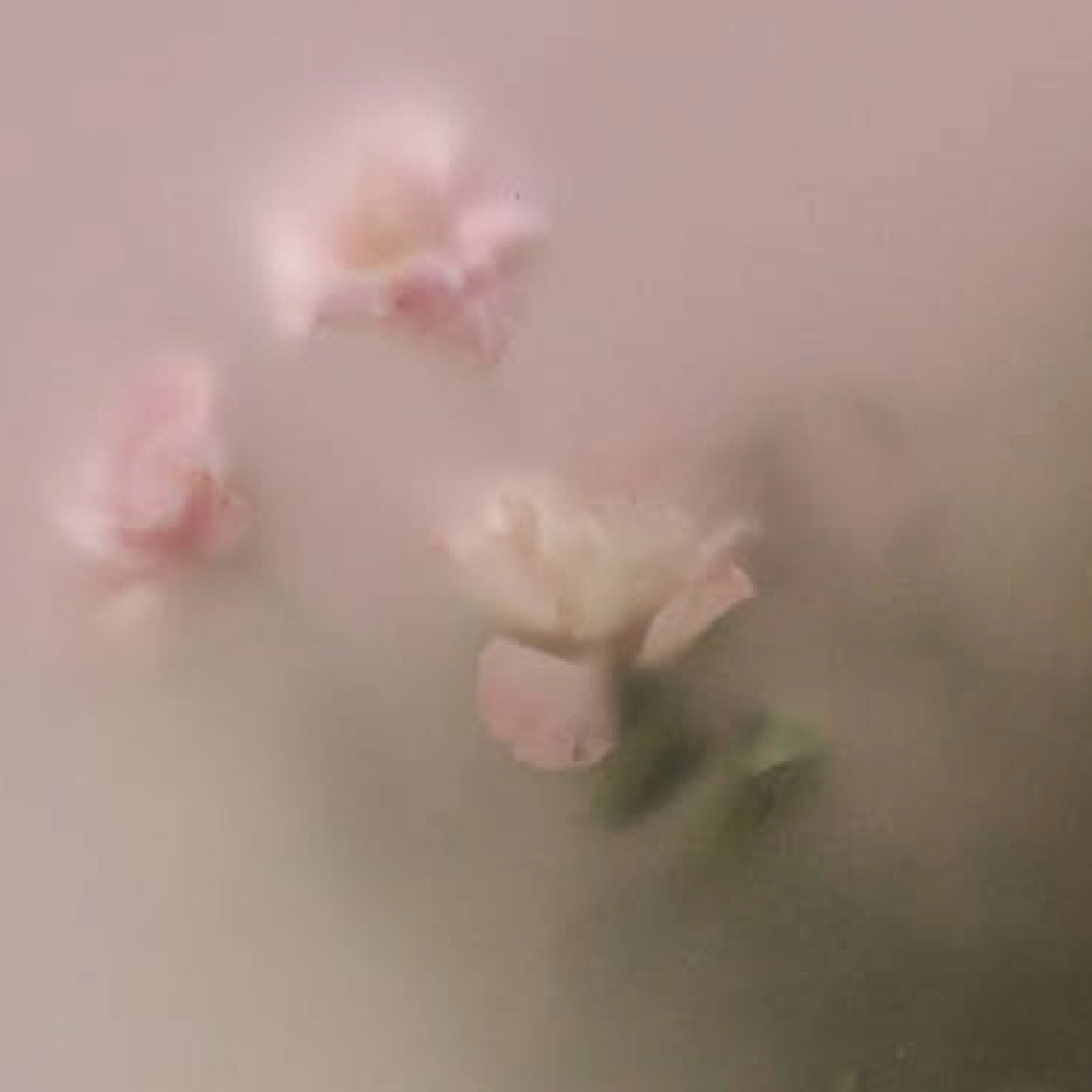 未命名-1-14