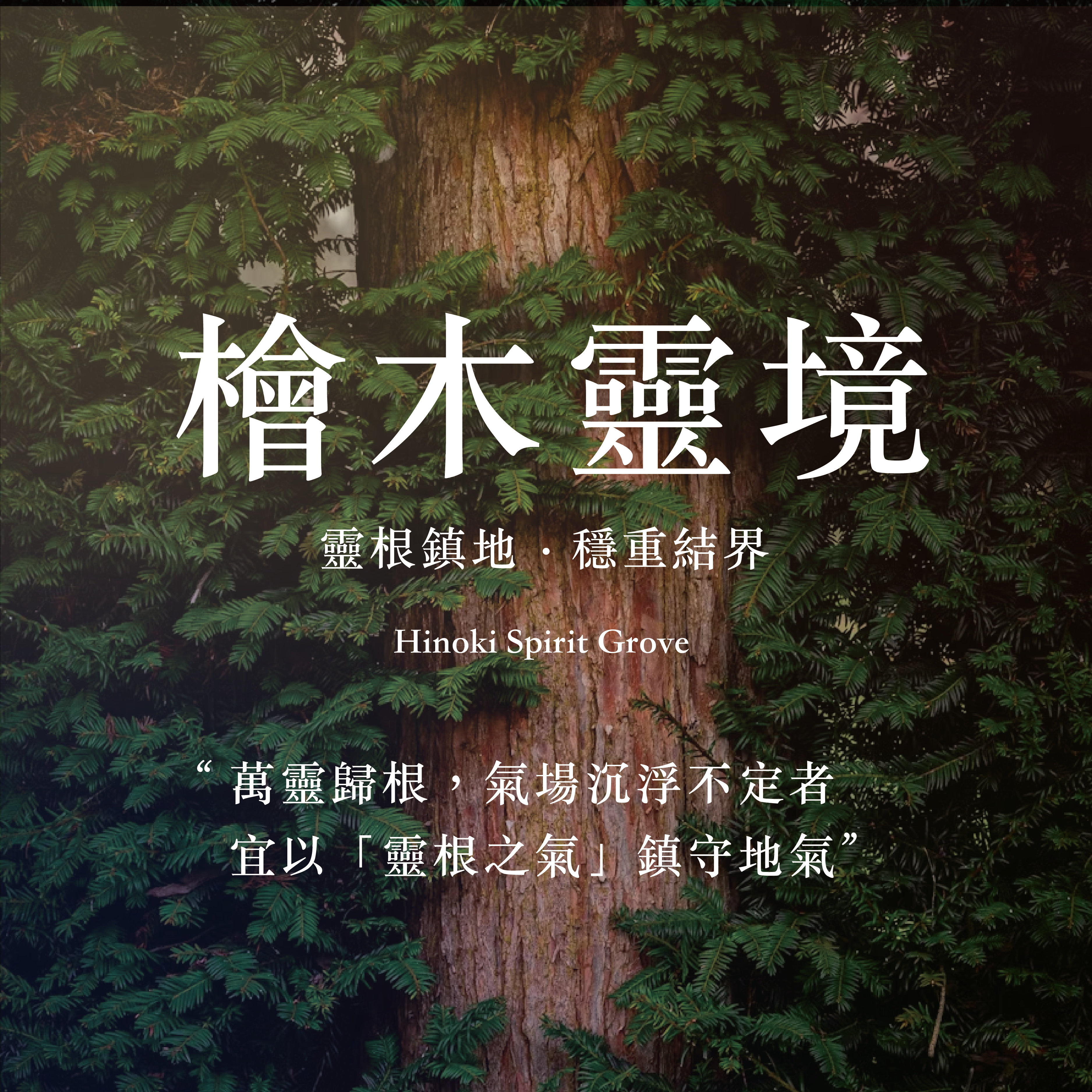 影像