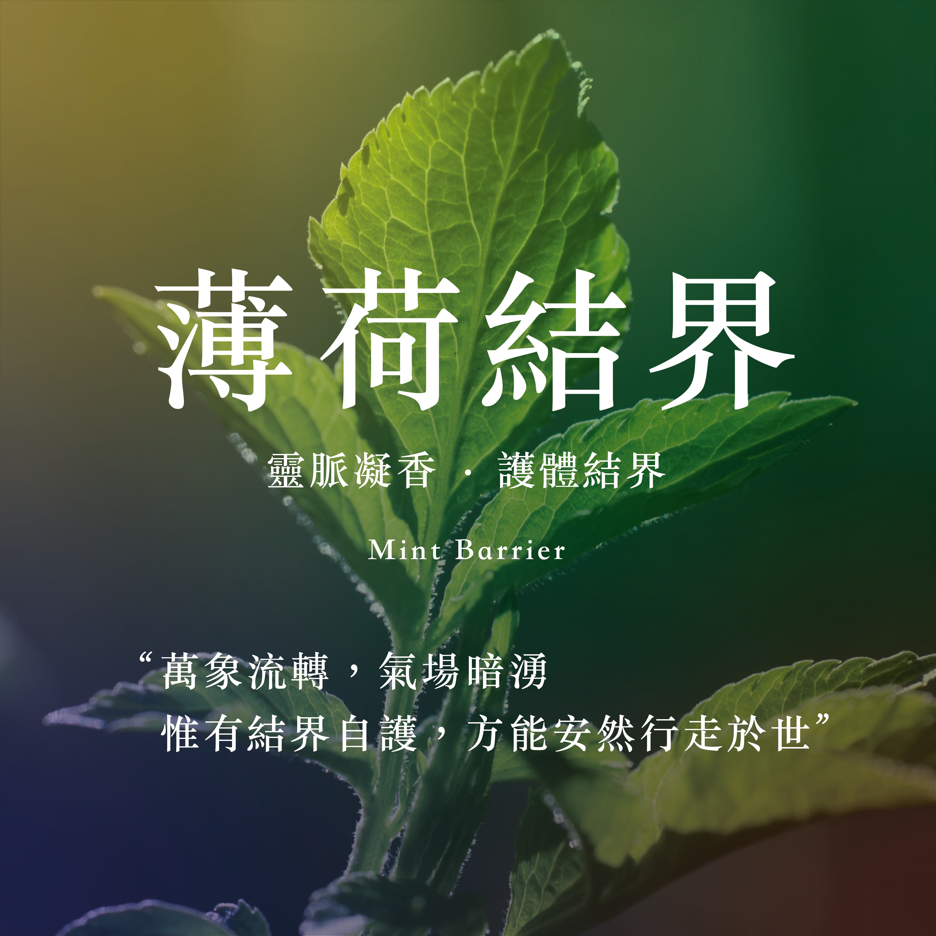 影像