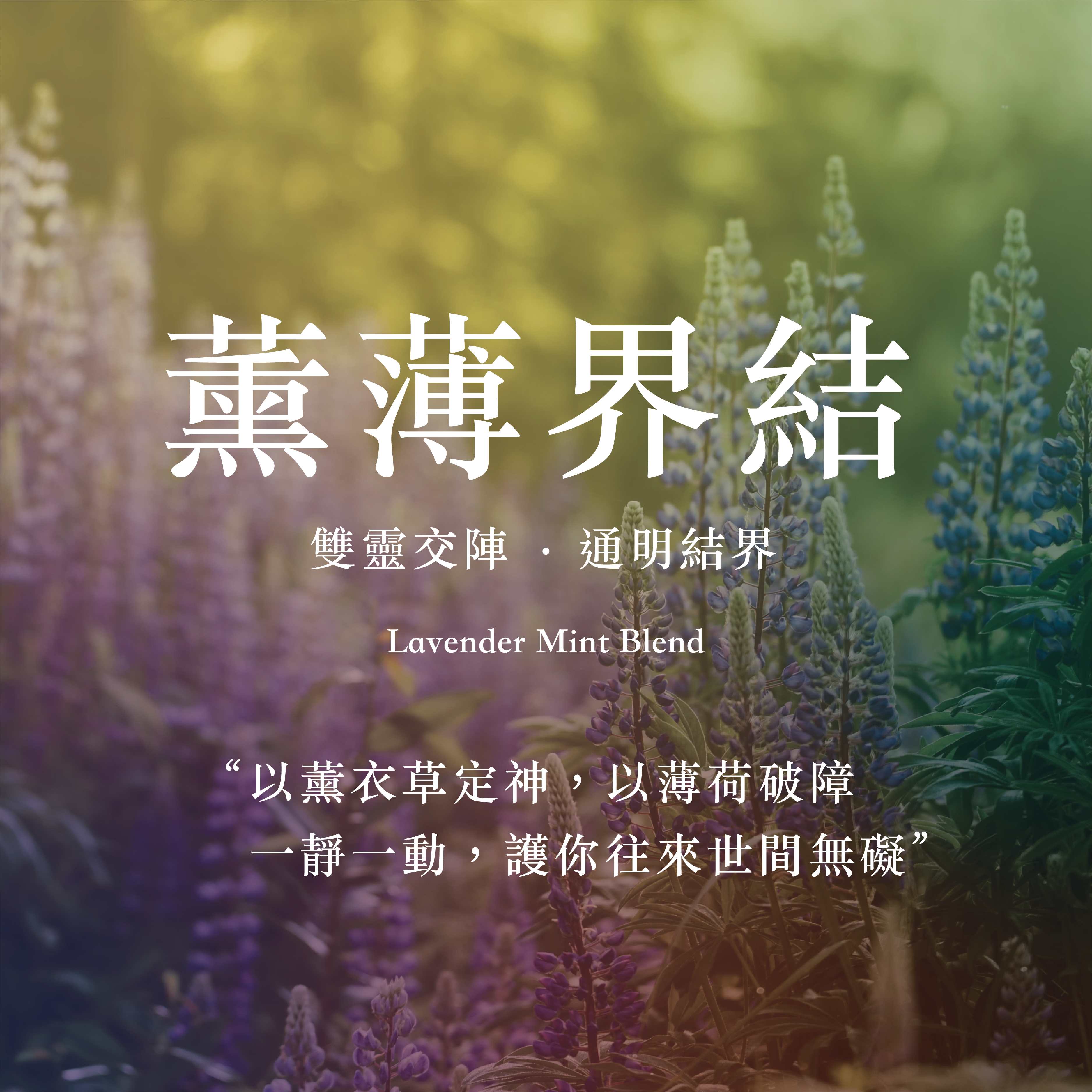 影像